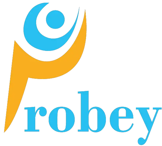 probey sevices company in NCR delhi