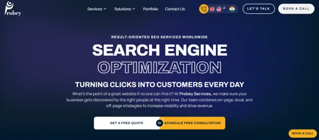 SEO page of Probey Services